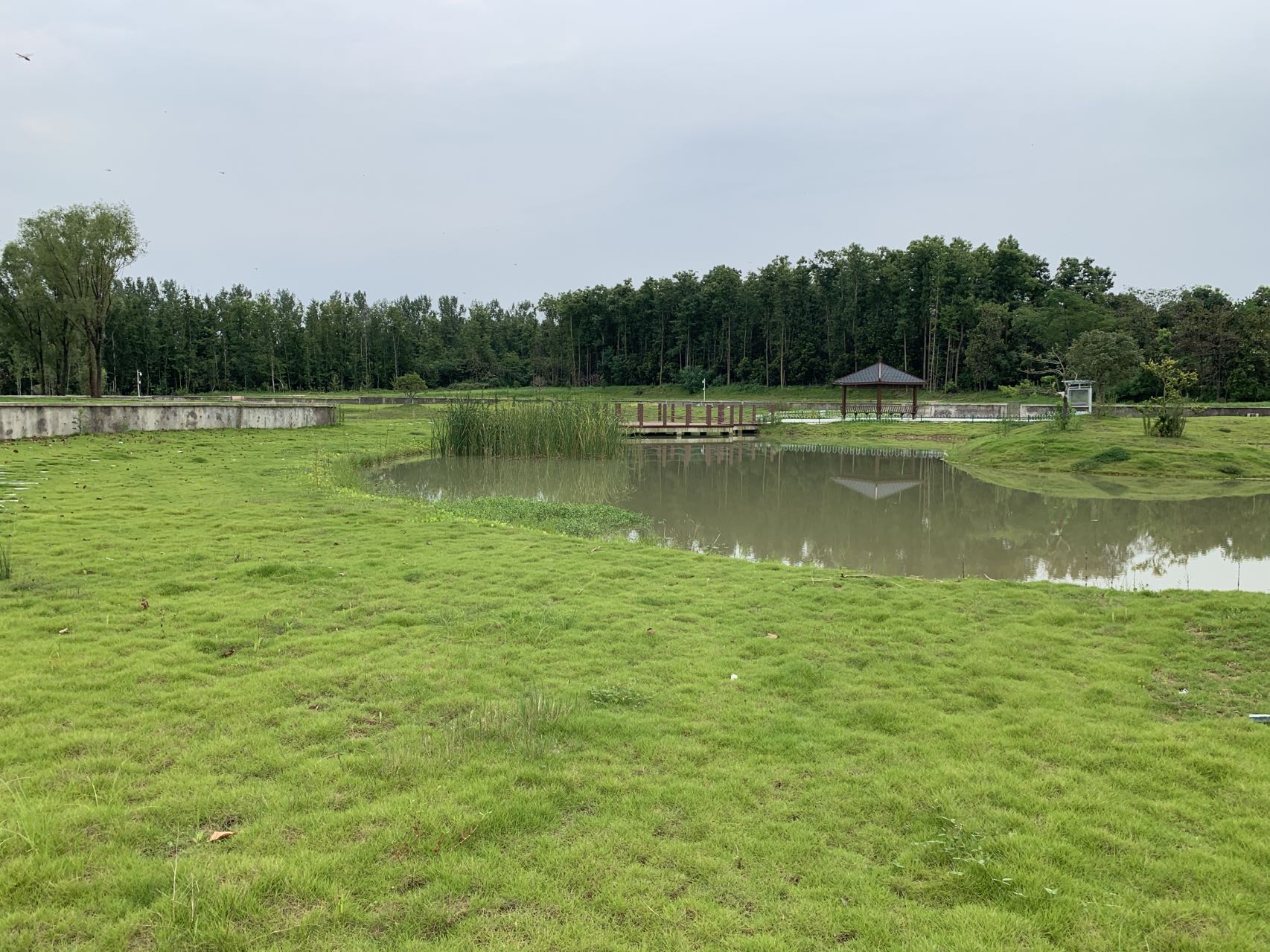 扬子鳄合肥迁地保护园EPC项目